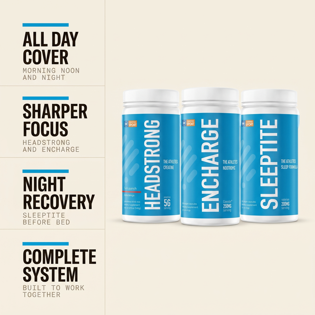 The Daily Brain Stack