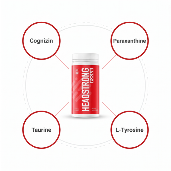 Headstrong FOCUS and its four ingredients: Cognizin citicoline, paraxanthine, taurine and L-tyrosine