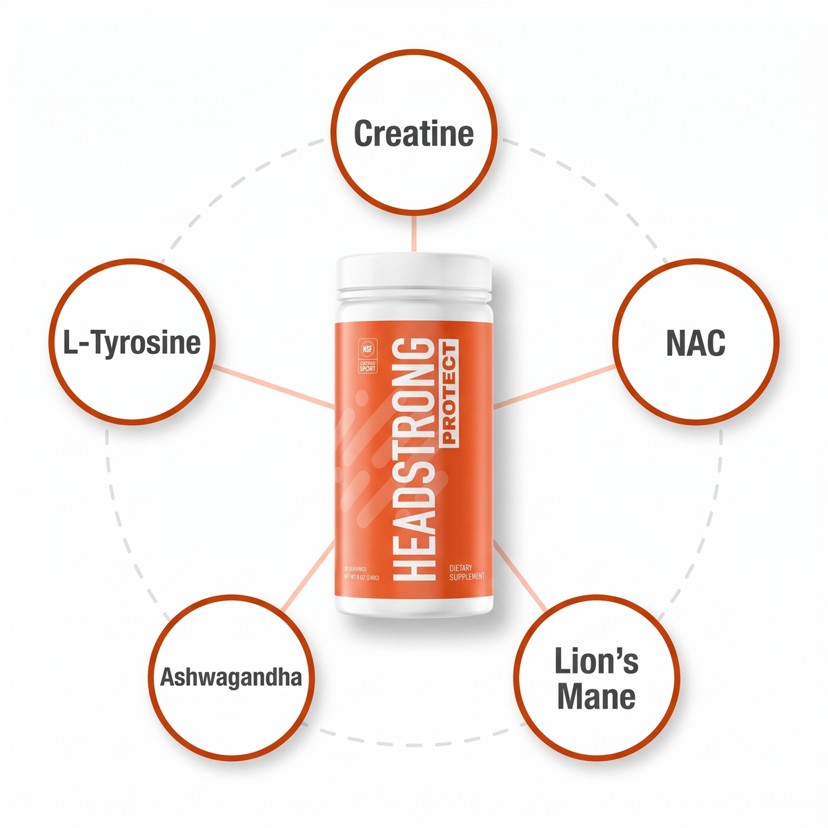 Headstrong PROTECT and its five ingredients: creatine, NAC, lion's mane, ashwagandha and L-tyrosine