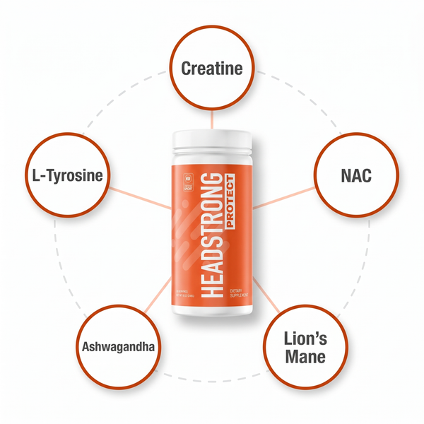 Headstrong PROTECT and its five ingredients: creatine, NAC, lion's mane, ashwagandha and L-tyrosine